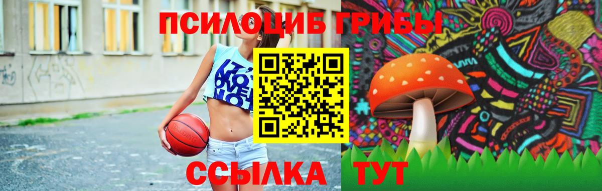 Псилоцибиновые грибы ЛСД  Вход с VPN  Новоалтайск 