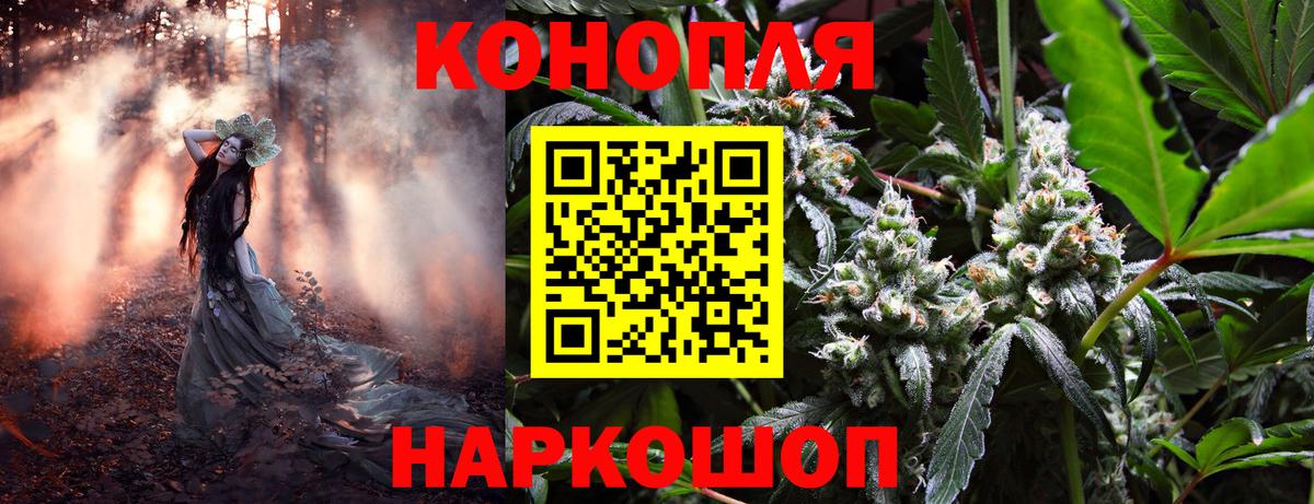 Каннабис гибрид Новоалтайск